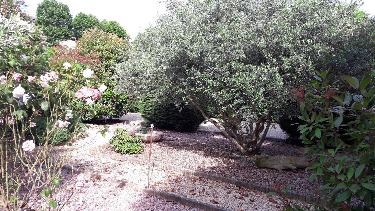 Villa Angel - Spa Caunes-Minervois Exterior foto